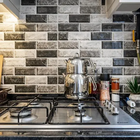 Apartment Istanbul'un Merkezindeki Ferah Eviniz.